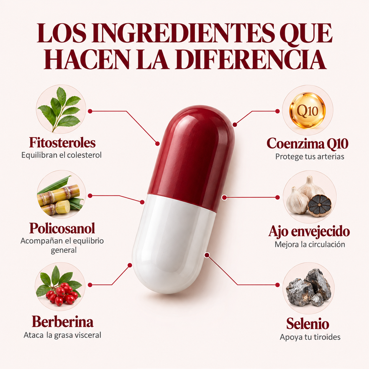 CardioVital® - Reduce tus niveles de colesterol de forma natural